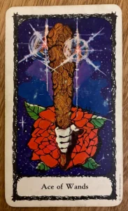 Sacred Rose Tarot - Ace of Wands