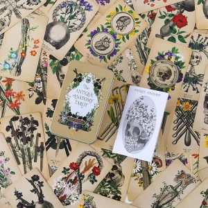 The Antique Anatomy Deck