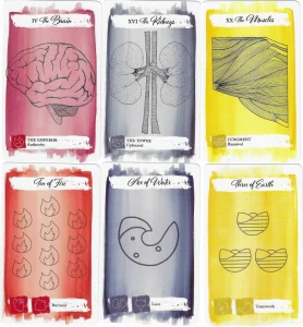 The Body Tarot